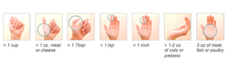 hand measurements